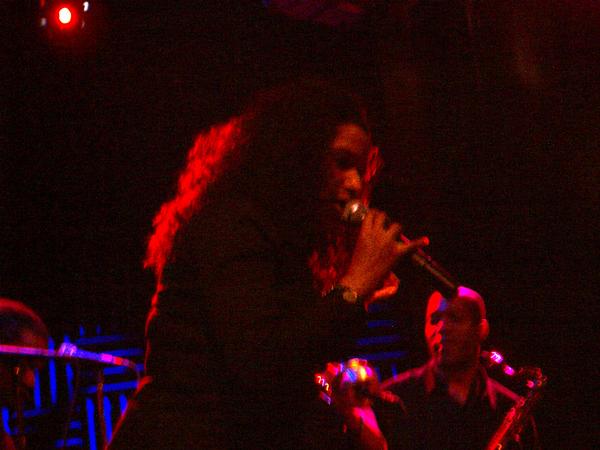 IMGP0379.JPG